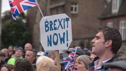 Des manifestants réclament l'application du Brexit à Londres, le 23 novembre 2016. (IAN DAVIDSON / CITIZENSIDE)