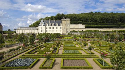 Les jardins du château de Villandry (Indre-et-Loire). (MORENO, J. / ARCO IMAGES GMBH)