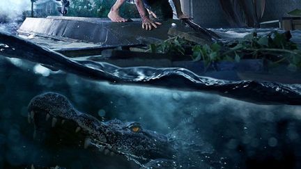 Cinéma : le film d'horreur "Crawl" nous plonge au milieu d'alligators affamés