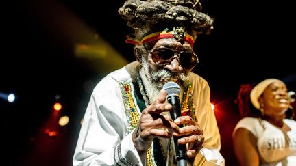 Bunny Wailer, le 20 juillet 2014, à Paris. (MICHAEL BUNEL / NURPHOTO / AFP)