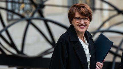 La ministre de l'Agriculture, Annie Genevard, le 27 novembre 2024 à Paris. (ANDREA SAVORANI NERI / NURPHOTO / AFP)