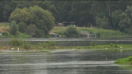 Le 13 Heures poursuit, jeudi 20 juillet, sa balade au bord de la Loire, à la découverte des paysages remarquables et de la biodiversité du plus long fleuve de France. Un écosystème naturel et fragile qu'il faut préserver. (France 2)