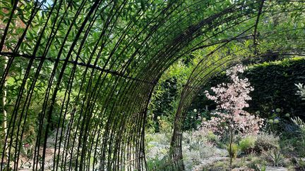 Le corridor végétal du festival des jardins à Chaumont-sur-Loire (Loir-et-Cher), août 2023 (ANNE CHEPEAU / FRANCEINFO / RADIO FRANCE)