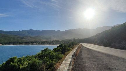 Sur la route du cap Corse (Haute-Corse) entre Bastia et Rogliano, une commune victime de l'extrême sécheresse et des pénuries d'eau qui touchent l'île depuis le début de l'été. (ANTOINE COMTE / FRANCEINFO)