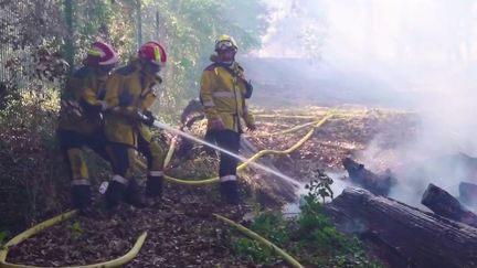 Incendie : un feu a brûlé sept hectares dans le sud-est de la France (France 3)