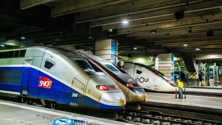 Des TGV à Paris, le 28 décembre 2019. (MATHIEU MENARD / HANS LUCAS / AFP)