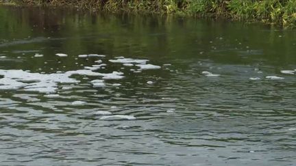 Climat : en France, le marais poitevin menacé d'ici 2100