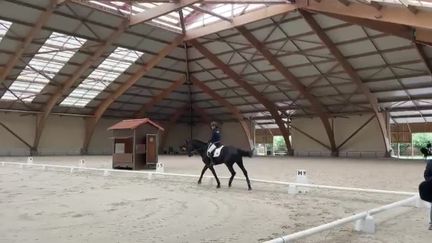 La cavalière Chiara Zenati avec sa deuxième monture Zeus de Malleret*IFCE lors d'une masterclass de para dressage à Lamotte-Beuvron.