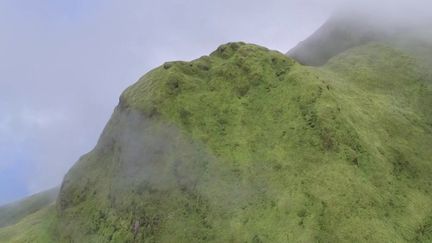 Martinique : la Montagne Pelée bientôt classée au patrimoine mondial ?