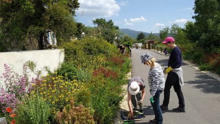 Les jardins de rue