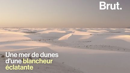 Une mer de dunes d'une blancheur éclatante s'étendant à perte de vue… Bienvenue aux White Sands, une merveille naturelle protégée du Nouveau-Mexique.