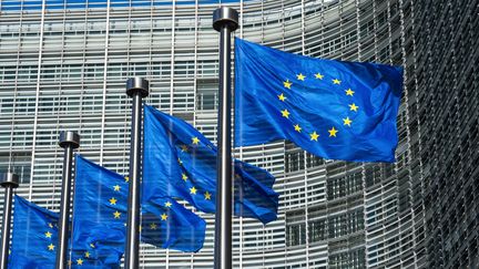 Des drapeaux de l'Union europ&eacute;enne &agrave; Bruxelles (Belgique), le 15 mai 2015. (DANIEL KALKER / DPA)