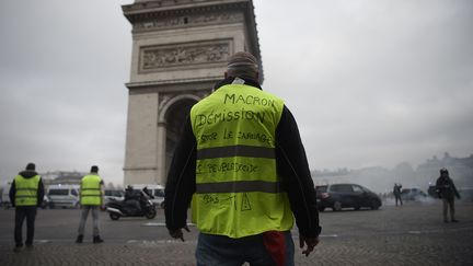 Un "gilet jaune" manifeste près de l'arc de triomphe, à Paris, samedi 24 novembre 2018. (LUCAS BARIOULET / AFP)