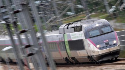 Un TGV dans la Sarthe, le 29 août 2024. (JEAN-FRANCOIS MONIER / AFP)