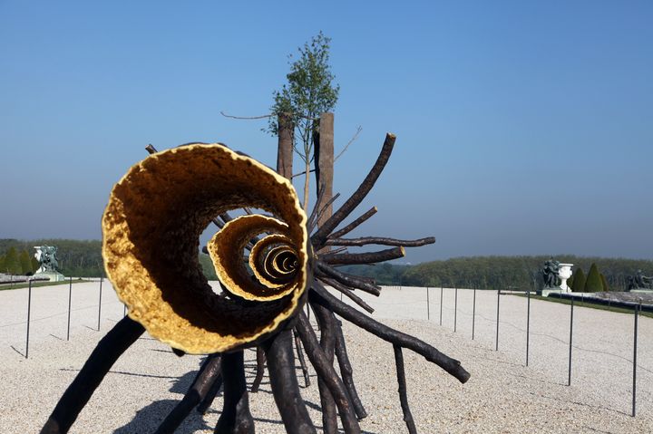 "Spazio di Luce" (Espace de lumi&egrave;re), une scupture de l'Italien Giuseppe Penone expos&eacute;e dans le jardin du ch&acirc;teau de Versailles jusqu'au 31 octobre. (CLAIRE LEBERTRE / AFP)