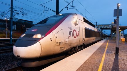 A TGV Inoui at Louvigny station (Moselle), January 22, 2024. (KEVIN REITZ/HANS LUCAS/AFP)