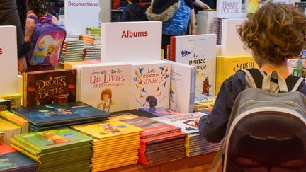 Salon Livre Paris, mars 2018
 ( ISA HARSIN/SIPA)