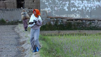 Une femme se dirige vers des champs de riz dans la r&eacute;gion de Punakha, au Bhoutan. Une sc&egrave;ne photographi&eacute;e en novembre 2008.&nbsp; (STEVENS FREDERIC / SIPA)