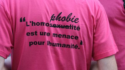 Un manifestant lors de la Gay Pride, à Paris. (CATHERINE GRAIN / RADIOFRANCE)