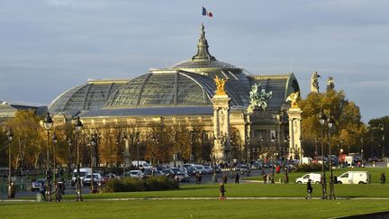 Le musée du Grand Palais à Paris. (MATTES REN? / HEMIS.FR / HEMIS.FR)