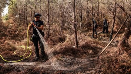 Des pompiers tentant de lutter contre les reprises de feu en Gironde, le 13 août 2022. (THIBAUD MORITZ / AFP)