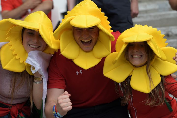 Les supporters gallois promèneront leurs jonquilles en quarts de finale. (GRIGORIY SISOEV / SPUTNIK / AFP)