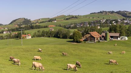 Paysage de campagne en Suisse. Illustration. (VINCENT ISORE / MAXPPP)