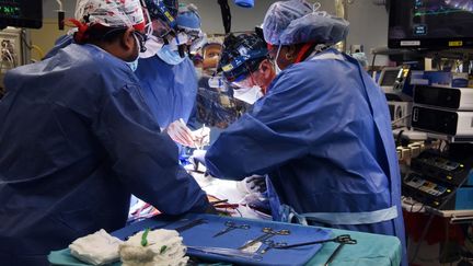 Des chirurgiens à Baltimore (Etats-Unis), le 7 janvier 2022. (UNIVERSITY OF MARYLAND SCHOOL OF MEDICINE / AFP)