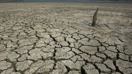 Le lac&nbsp;El Cisne, en Colombie, lors d'une s&eacute;cheresse, le 31 juillet 2014.&nbsp; (EITAN ABRAMOVICH / AFP)