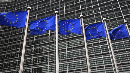 Devant le si&egrave;ge de la Commission europ&eacute;enne &agrave; Bruxelles (Belgique). (YVES HERMAN / REUTERS)