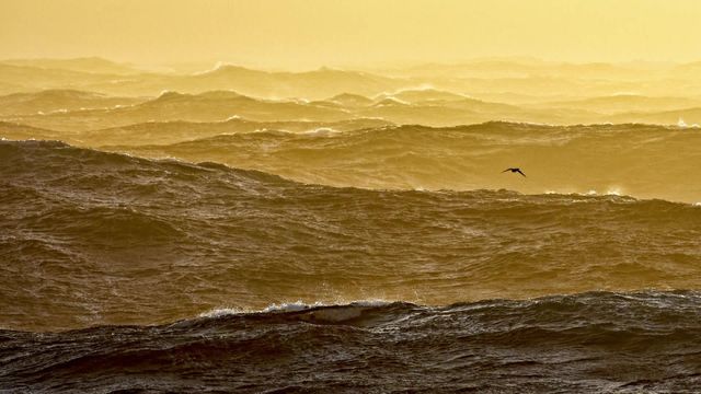 Rencontre avec Benoît Stichelbaut, photographe de mer