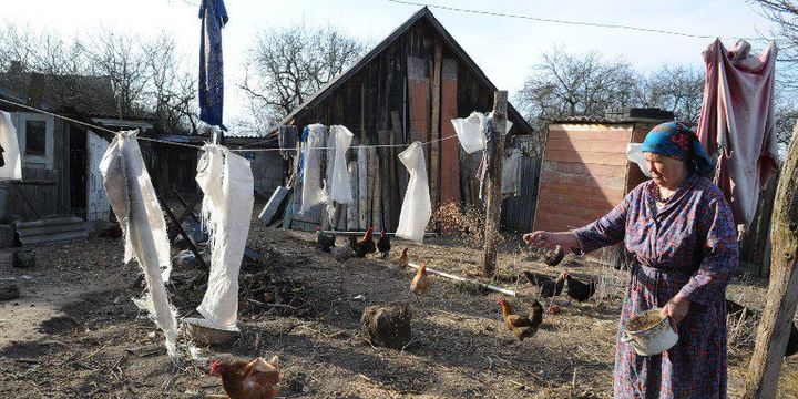 Une femme nourrissant ses poulets dans le village abandonné de Savitchi, à l'intérieur de la «zone» de Tchernobyl, en 2011.
 (Viktor Drachev / AFP)