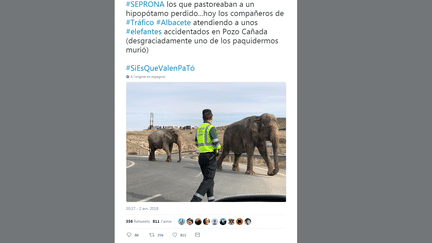 Capture d'écran d'un message publié sur Twitter par les autorités espagnoles après l'accident d'un camion de cirque transportant des éléphants, lundi 2 avril 2018 à Pozo Canada. (GUARDIA CIVIL / TWITTER)