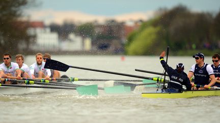 Les deux &eacute;quipes d'Oxford et Cambridge se sont affront&eacute;es lors d'une course mouvement&eacute;e, le 7 avril 2012 sur la Tamise (Royaume-Uni).&nbsp; (LEON NEAL / AFP)