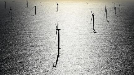 Le parc éolien offshore au large de Saint-Nazaire, le 20 mai 2022. (FRANCK DUBRAY / MAXPPP)