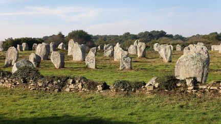 Alignement de menhirs&nbsp;à Carnac, dans le Morbihan&nbsp;en Bretagne (2020). (MANUEL COHEN / MANUEL COHEN)