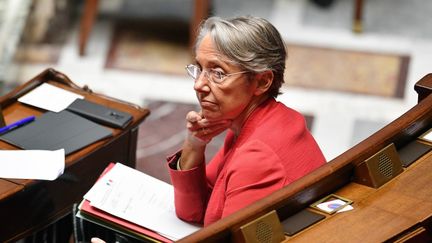 Elisabeth Borne, le 28 avril 2020, à l'Assemblée nationale. (DAVID NIVIERE / POOL)