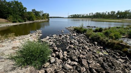 Un lac frappé par la sécheresse, à Grafenwörth, en Autriche, photographié le 16 août 2022. (HELMUT FOHRINGER / APA-PICTUREDESK / AFP)