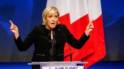 La candidate du Front national à l'élection présidentielle, Marine Le Pen, lors d'un meeting à Lyon, le 5 février 2017. (ROBERT PRATTA / REUTERS)