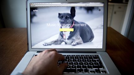 Spotify (JONATHAN NACKSTRAND / AFP)