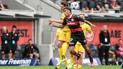 Josh Cavallo (en jaune) lors d'un match face aux Wanderers de Sydney le 27 févier 2021. (NIGEL OWEN/ACTION PLUS/SHUTTERSTOCK/SIPA / SHUTTERSTOCK)