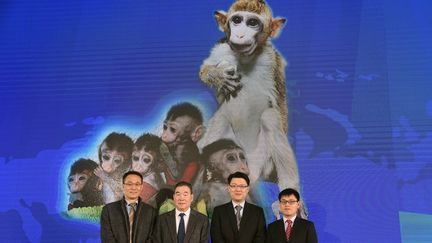 Une équipe de scientifiques a annoncé du clonage de cinq singes à l'Institut de neurosciences de l'Académie des sciences de Shanghai (Chine), le 23 janvier 2019.&nbsp; (SUN ZIFA / IMAGINECHINA / AFP)