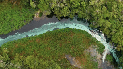 Au Brésil, les eaux turquoise de la rivière Sucuriú attirent quotidiennement une poignée de touristes, curieux de découvrir une biodiversité unique. Les équipes du 20 Heures vous emmènent à la découverte de ce site exceptionnel. (France 2)