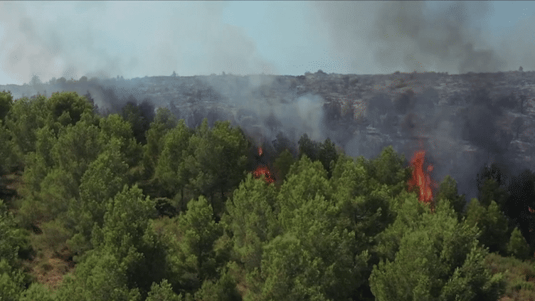 Incendies : Météo-France dévoile sa météo des forêts