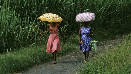 Des femmes marchent dans les plantations de canne à sucre, à La Réunion. (ROSINE MAZIN / MAZIN ROSINE)