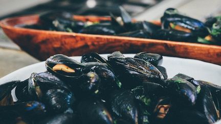 Alerte sur la présence de toxines dans les moules (Cr&eacute;dits Photo : &copy; Pixabay / Pexels)