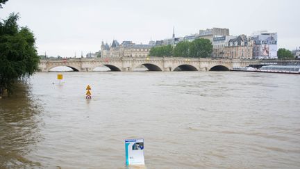 La Seine et&nbsp;le Pont Neuf, à Paris, le 3 juin 2016. (CITIZENSIDE / LUCAS ARLAND / AFP)