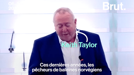 L’eurodéputé britannique Keith Taylor a déploré la chasse à la baleine pratiquée par la Norvège. Il a aussi dénoncé la "complicité" de l’Union européenne.
 (Brut)