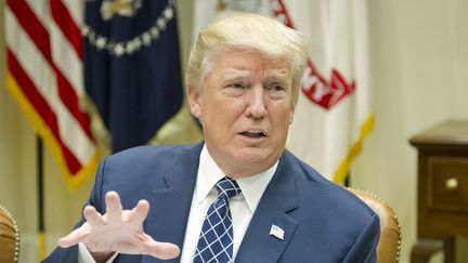 Donald Trump à la Maison Blanche à Washington (Etats-Unis), le 18 juillet 2017. (PICTURE-ALLIANCE / AFP)