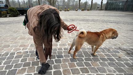 Les déjections des chiens dans les rues, autre fléau avec les mégots et les chewing-gums. Image d'illustration (  MAXPPP)